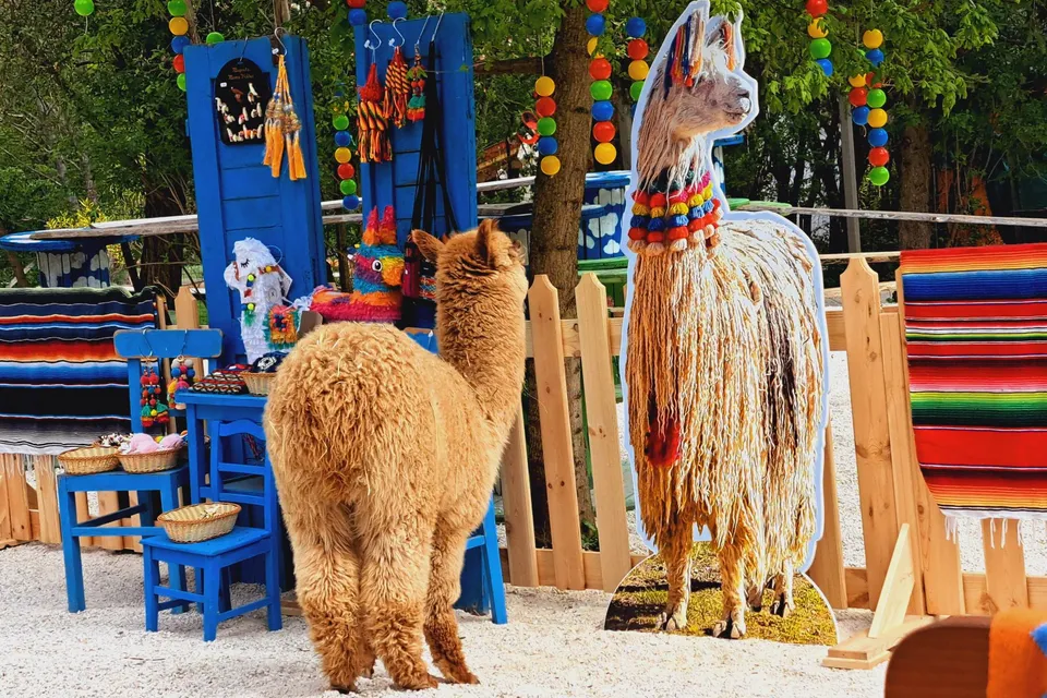 Piczinke Pony Yard