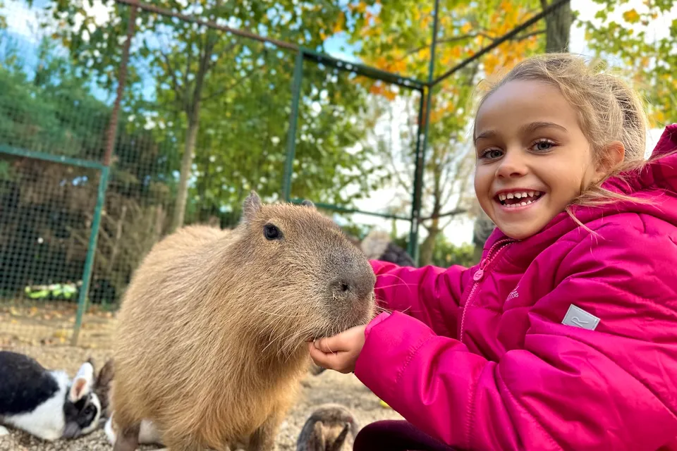 Kisfalud Wildlife Park