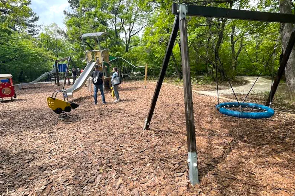 Rege Park Playground
