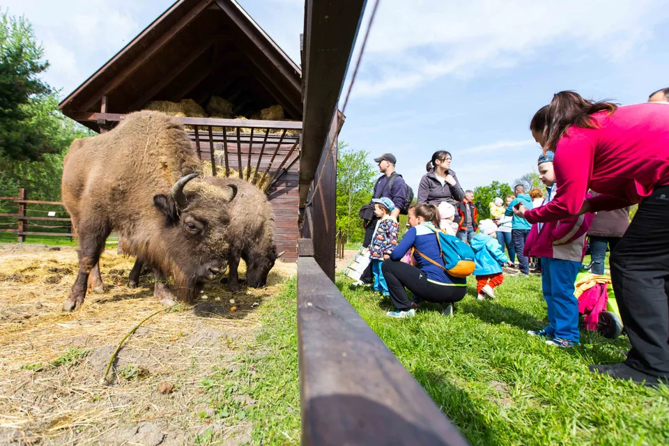 Körösvölgy Animal Park