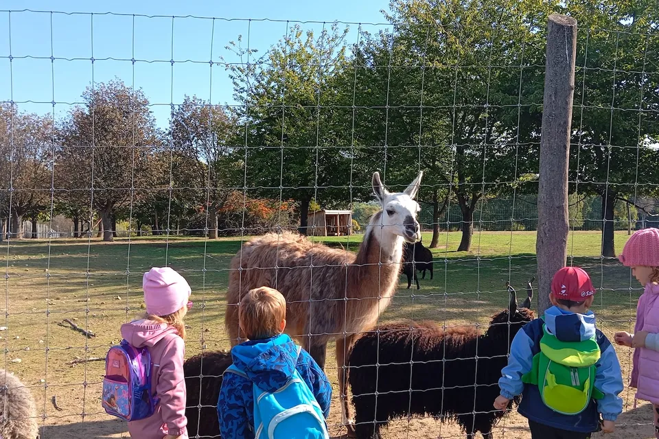 Pákozdi Pagony Wildlife Park and Arboretum”