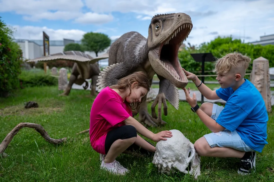 Dino Park KÖKI