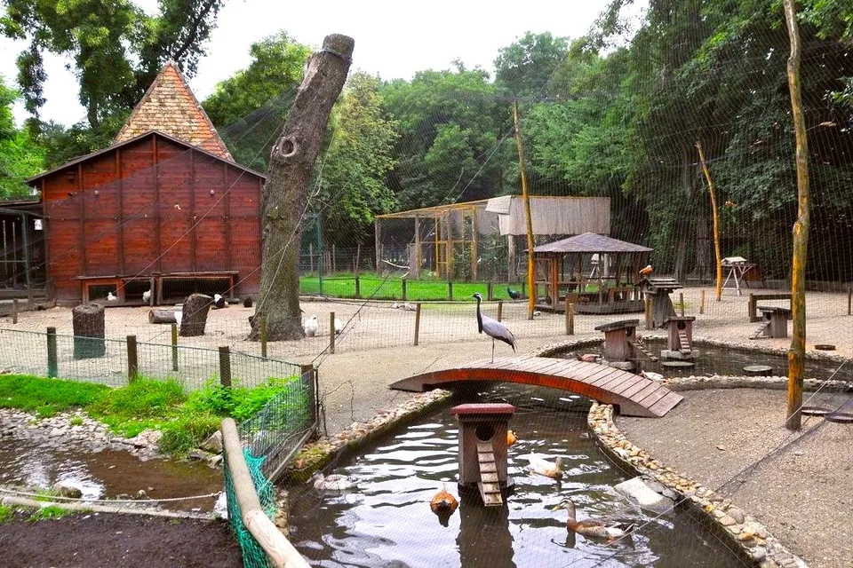 Margitsziget Zoo