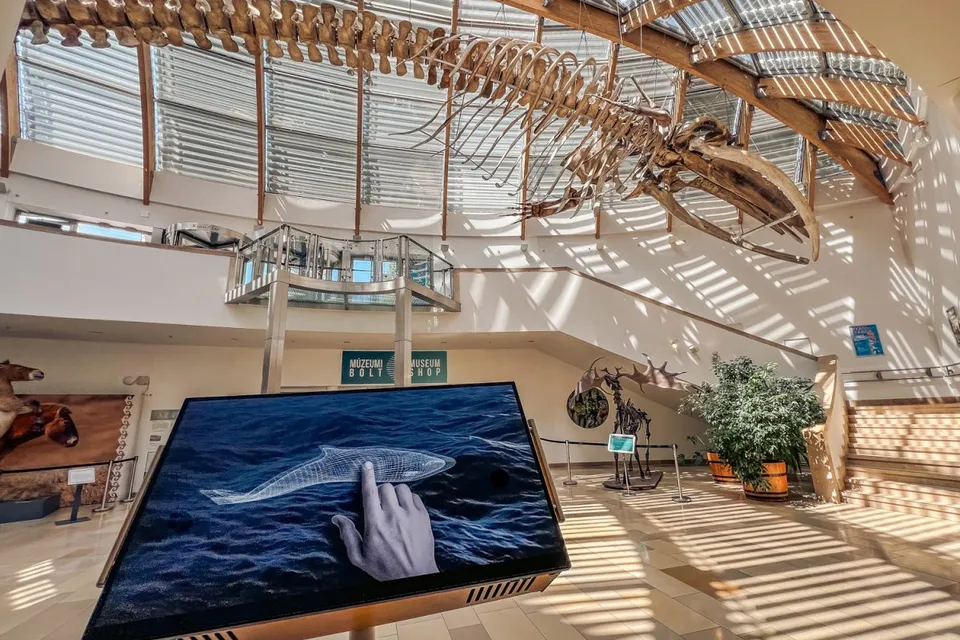 Hungarian Natural History Museum