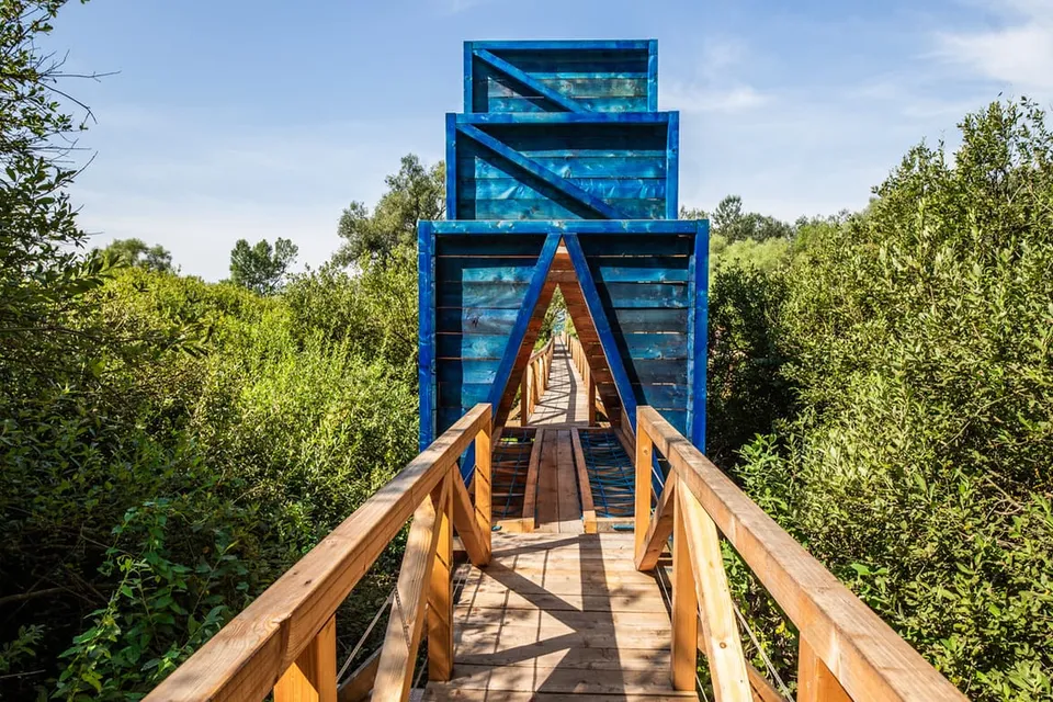 The Turtle Nature Trail in Dunakeszi
