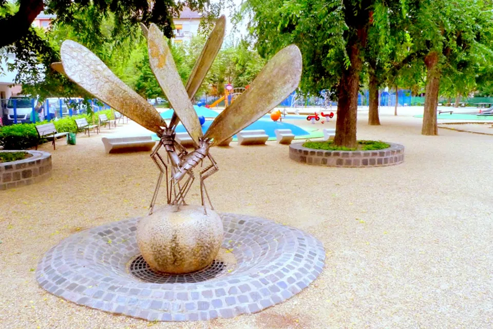 Dragonfly Playground