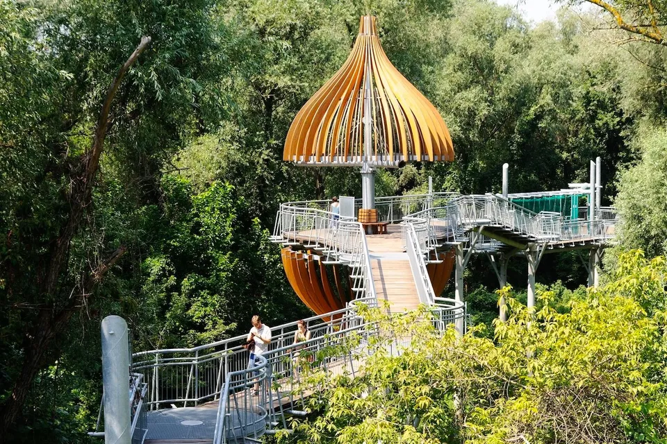 Makó Canopy Walk