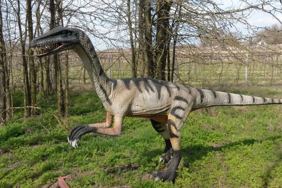 Gyulai Dino Park