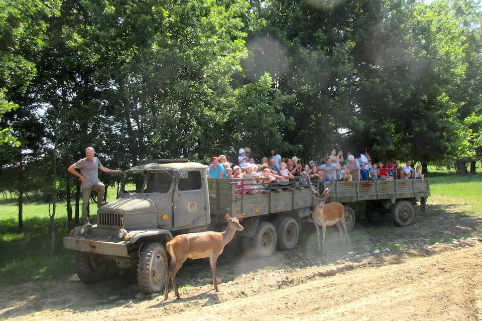 Nógrád Wildlife Park