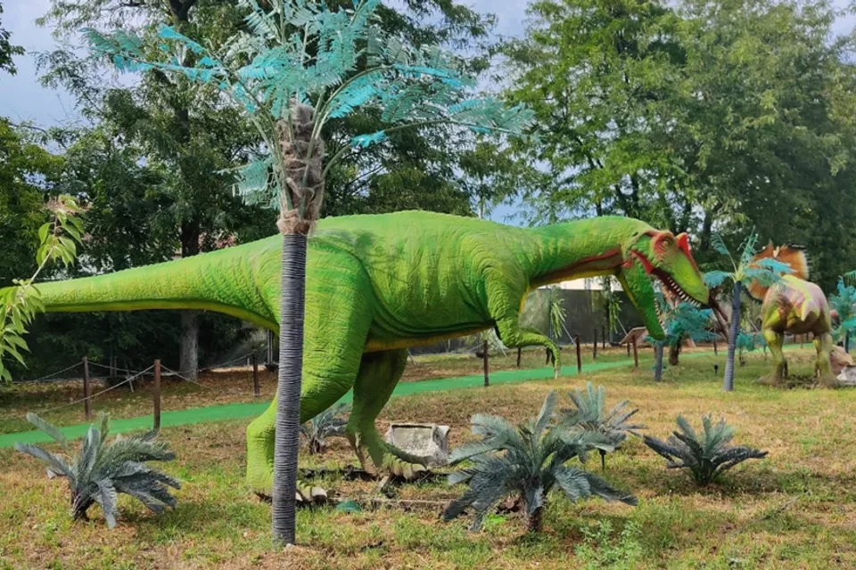 Dino Park Campona
