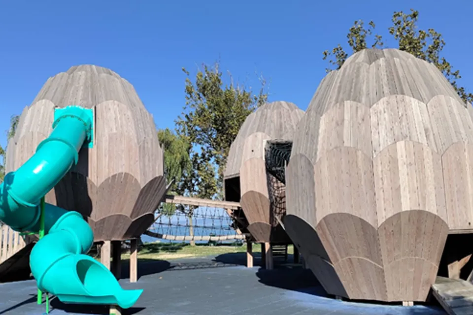 Balaton Shore Pinecone Playground