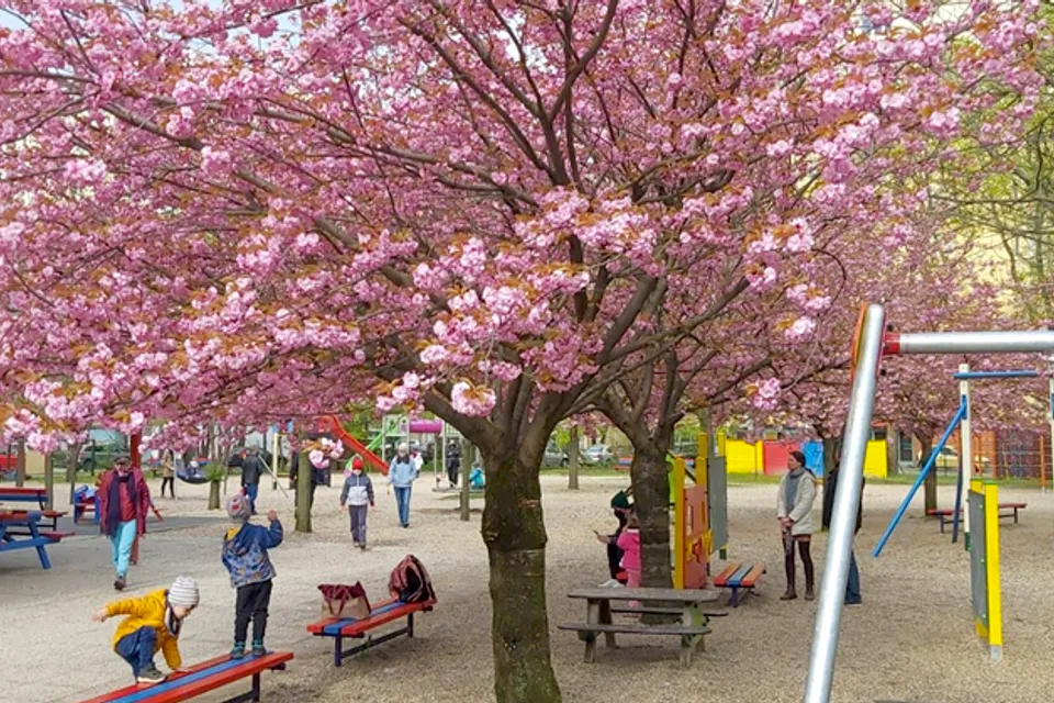 Málta Playground and playhouse Szeged