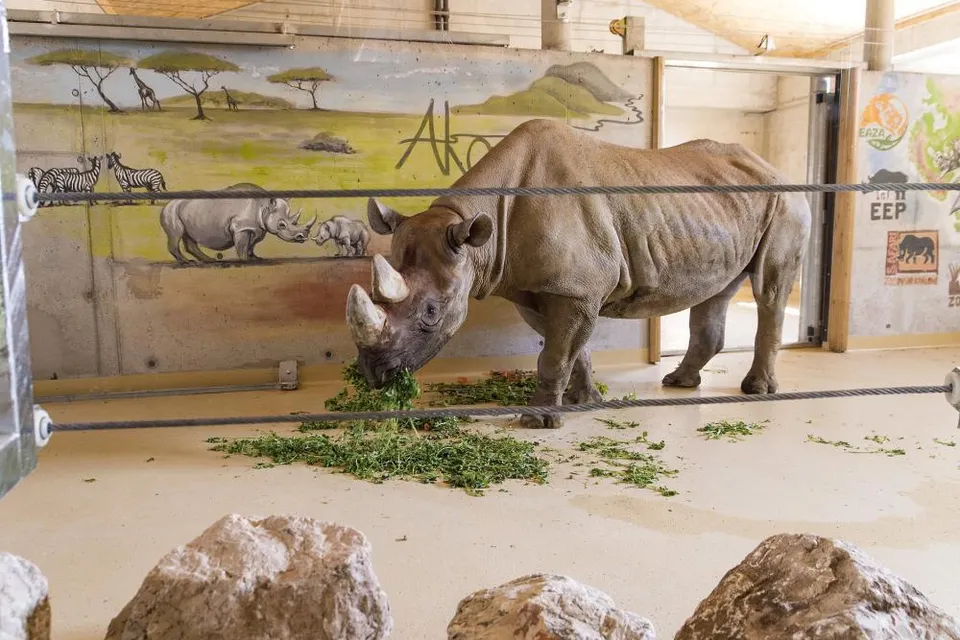 Xantus János Zoo