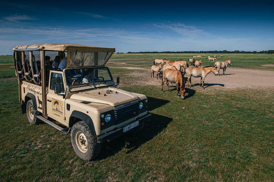 Hortobágy Wildlife Park