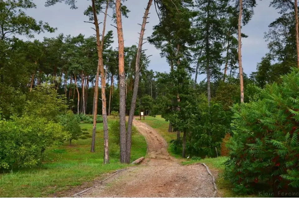 Nyírjesi Füvészkert és Vadaspark