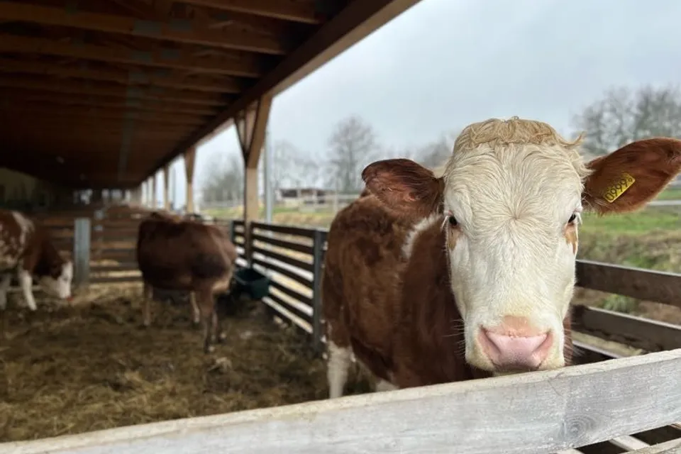 Breier Farm Élménybirtok és Bisztró