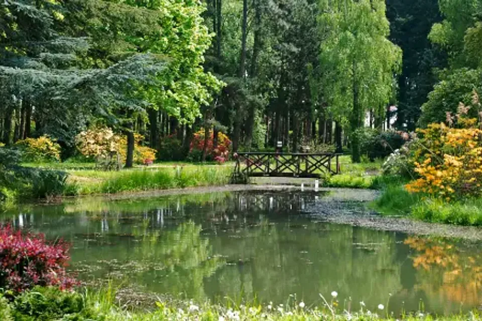 Kamon Arboretum