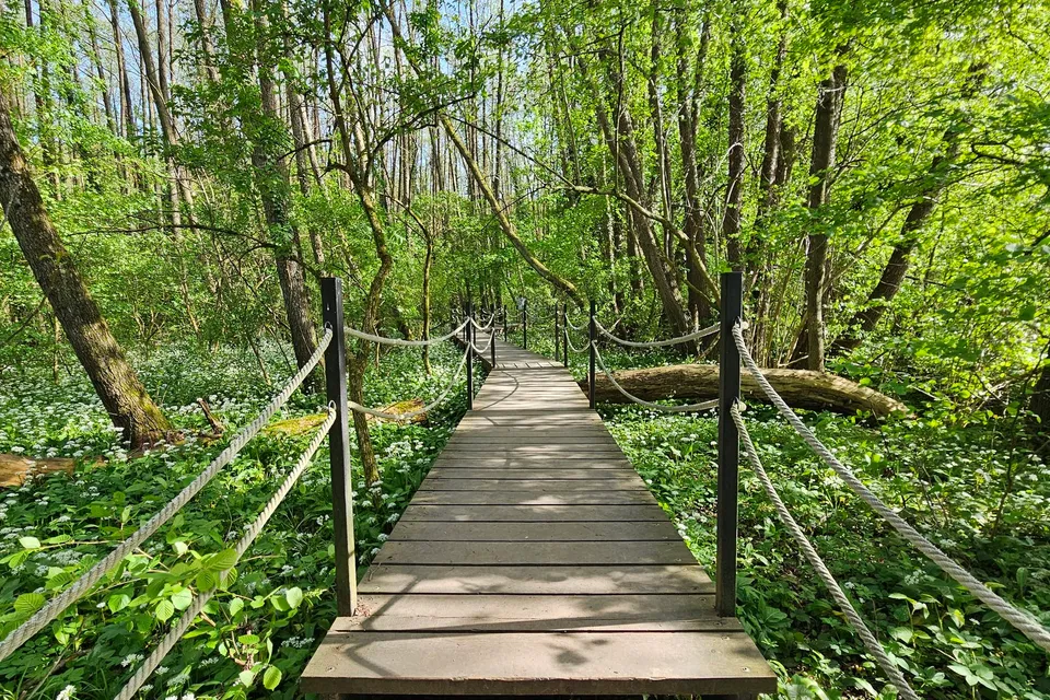 Vízfő Nature Trail