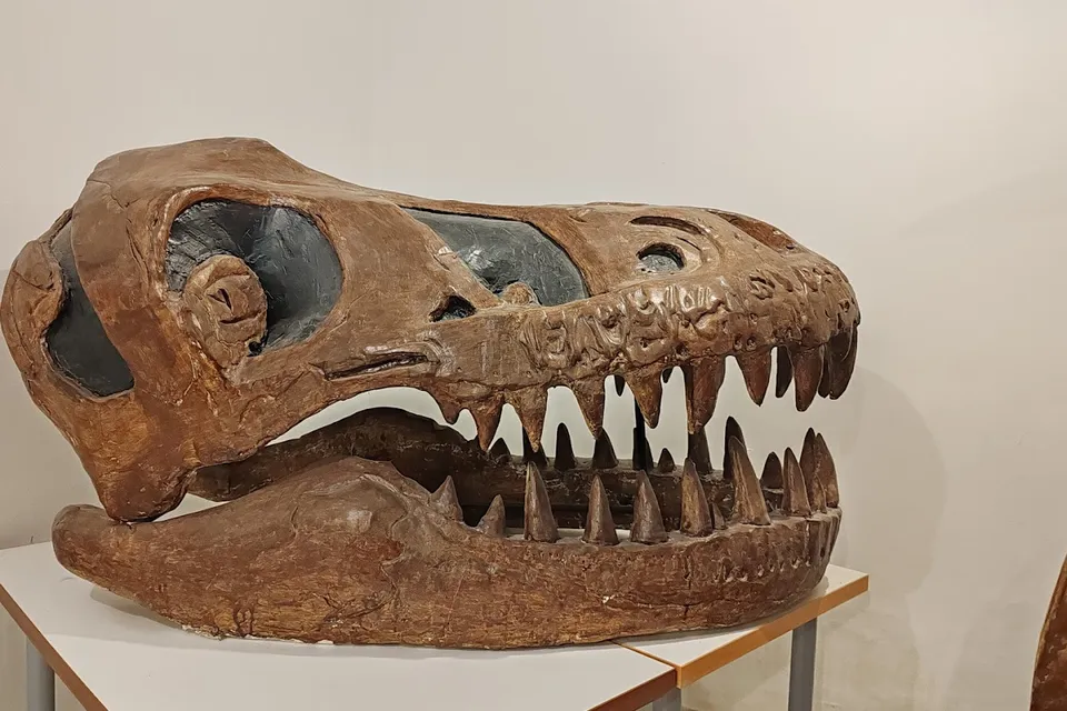 Geoda Interactive Paleontology and Mineral Show
