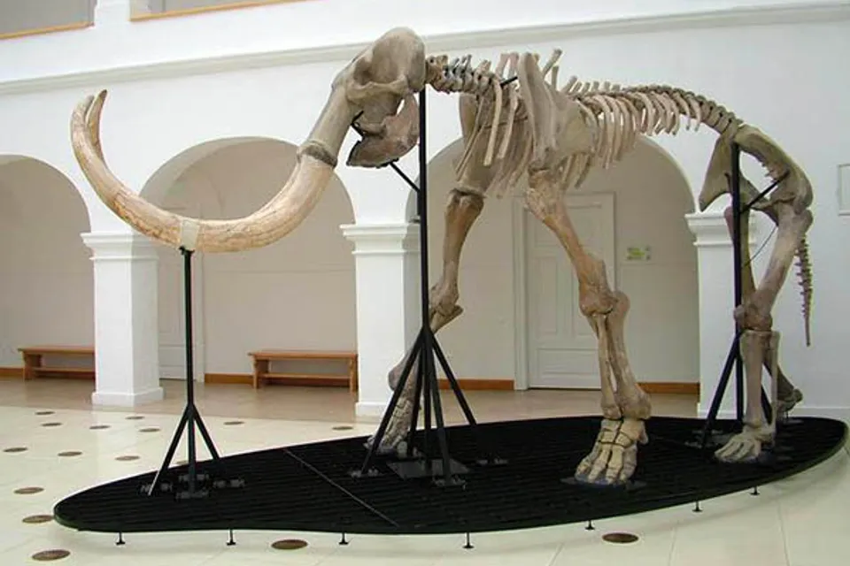 Mátra Museum