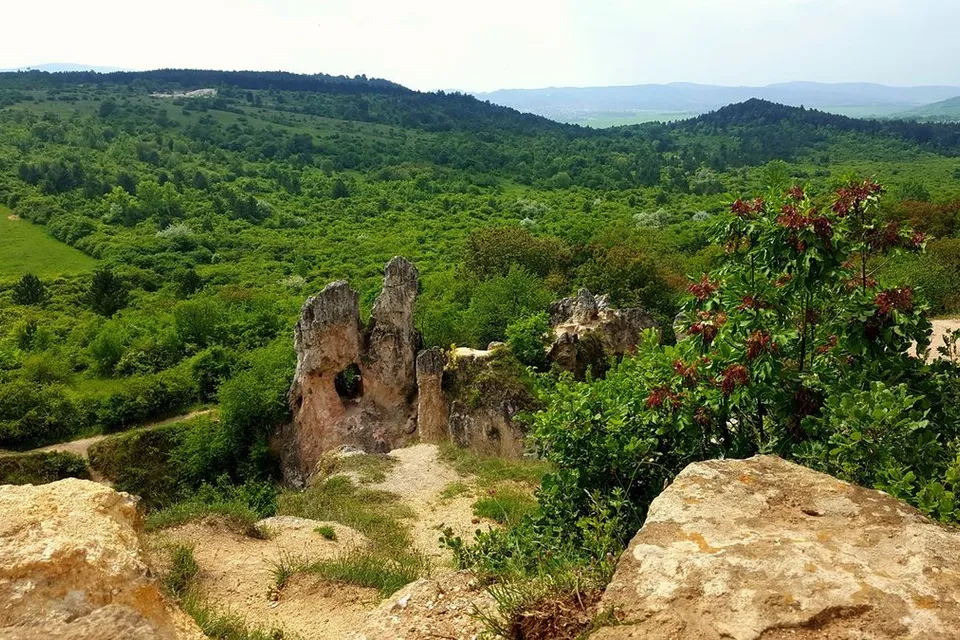 Camel Rock