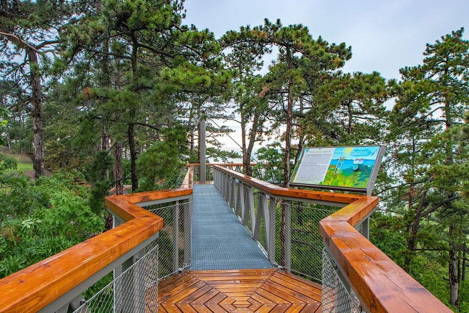 Balatonboglár Canopy Walk