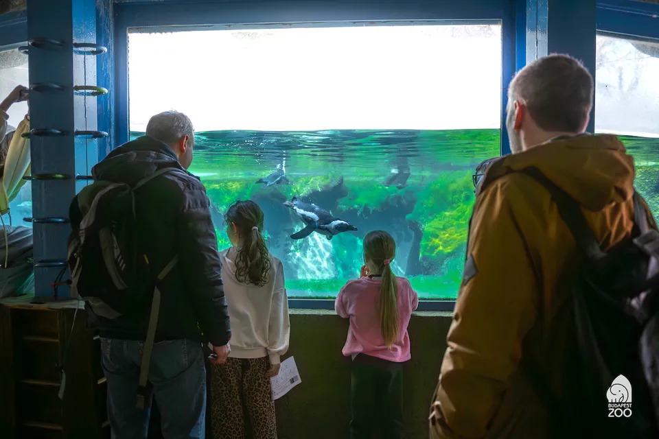 Budapest Zoo & Botanical Garden