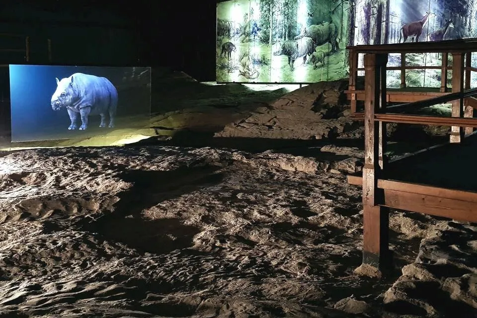 Ipolytarnóc Fossils Nature Conservation Area