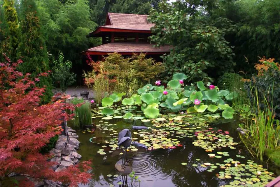 Tuzson János Botanical Garden