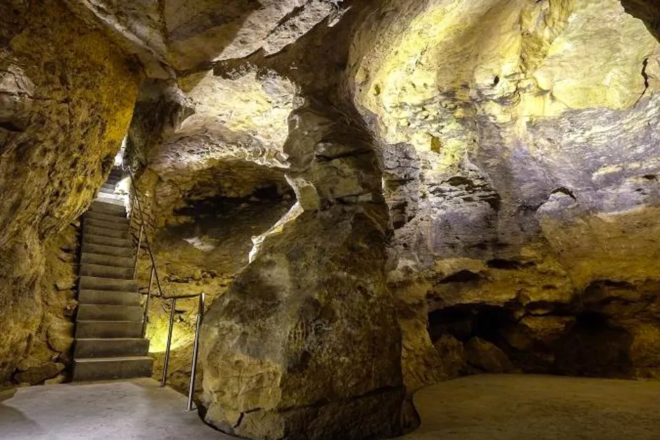 Pálvölgyi Barlang