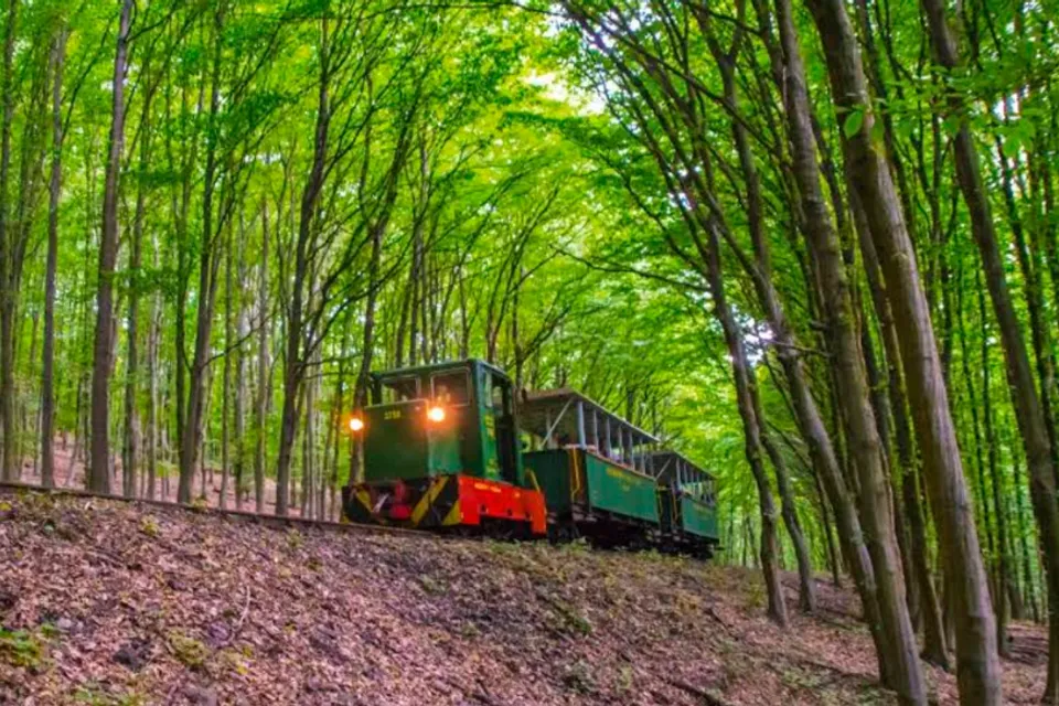 Nagybörzsöny Forest Railway