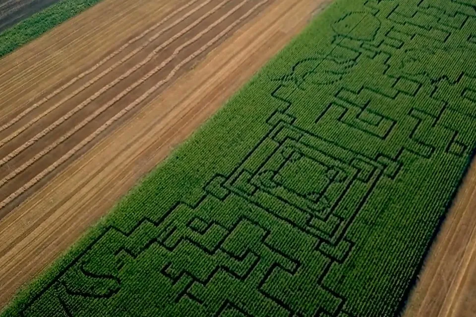 Kiszombor Corn Maze