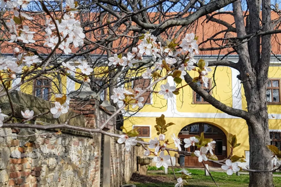 Janus Pannonius Museum
