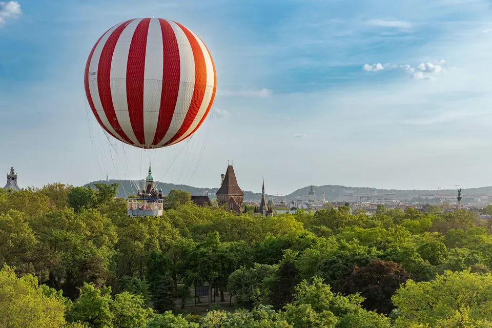 BalloonFly