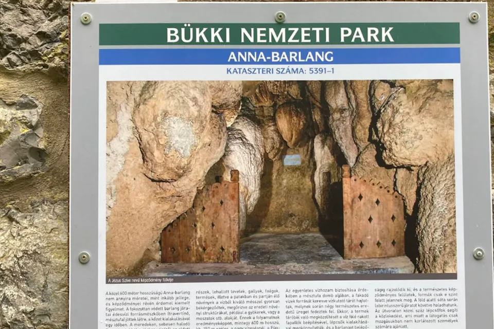 Anna Cave