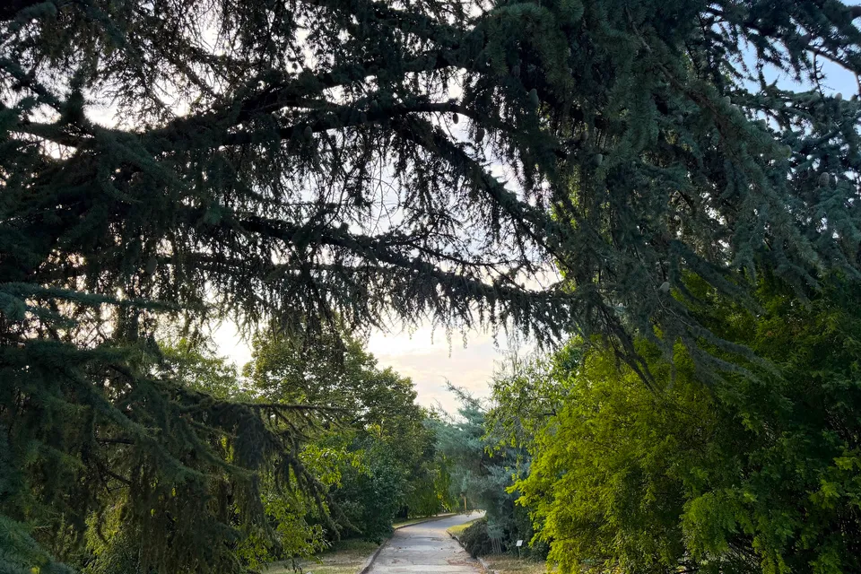 Budai Arborétum